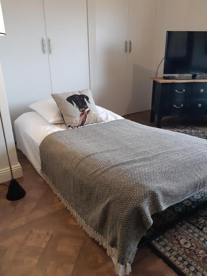 Cocoon Loft - Magnifique Loft Sous Toit, Refait A Neuf, Vues Splendides, Clim, Wifi Daire Nice Dış mekan fotoğraf